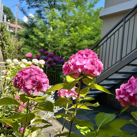 Nocleg ze śniadaniem Tra I Laghi 3*