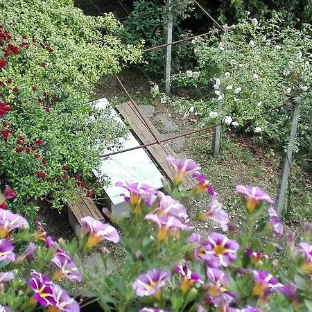 Tra I Laghi